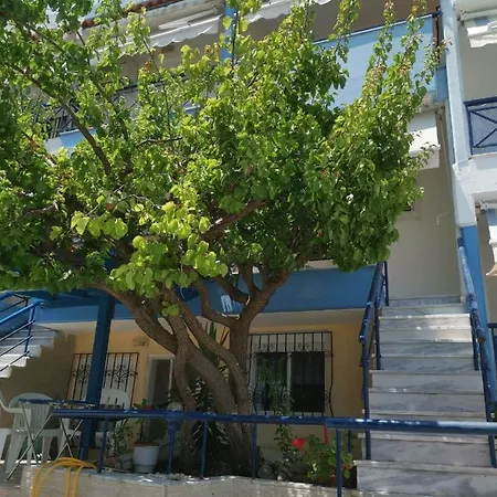 度假居 3 Storey Holiday 佩科霍里