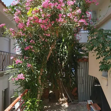 3 Storey Holiday *